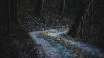 Karnataka Students Forced to Walk 7 km Through Forest Daily to Attend School, Families Appeal to CM