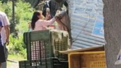 Uttarkashi Woman Beats Man Allegedly Misbehaving With Her Daughter