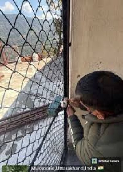 उत्तराखंड\