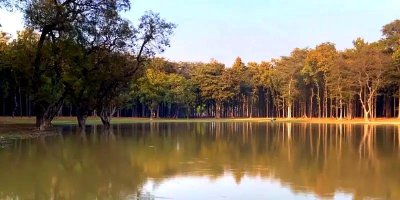 Kusmhi Forest to Emerge as Eastern UP’s Eco-Tourism Hub with ₹4.84 Crore Push