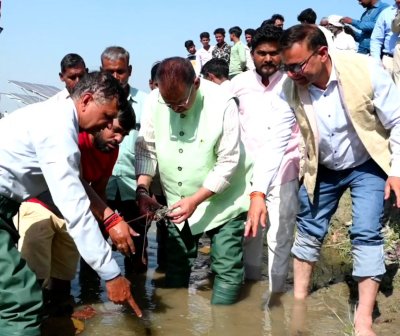 हरिद्वार में शुरू हुई मखाना खेती, कृषि मंत्री गणेश जोशी ने किया शुभारंभ