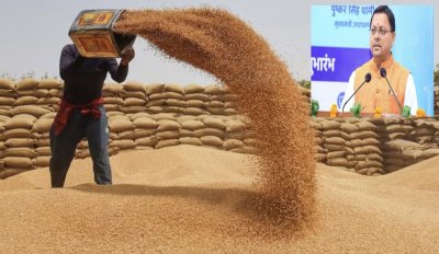 उत्तराखंड : गेहूं खरीद लक्ष्य 10 हजार से बढ़कर 5 लाख कुंतल