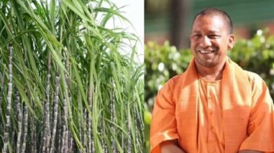 उत्तर प्रदेश में गन्ना किसानों को मिलने वाले बीज की होगी डिजिटल ट्रैकिंग