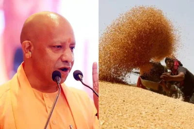 बड़ी खबर!! गेहूं खरीद में किसानों को बड़ी राहत, बिना फार्मर रजिस्ट्री भी बेच सकेंगे फसल