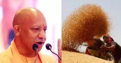 बेमौसम बारिश से परेशान गेहूं किसानों को डबल इंजन सरकार ने दी बड़ी सुविधा