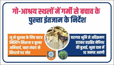 गो आश्रय स्थलों में गर्मी से बचाव के पुख्ता इंतजाम के निर्देश