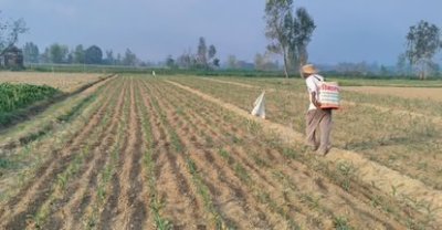 प्राकृतिक खेती से बेहतर आय अर्जित कर रहे 2.60 लाख किसान