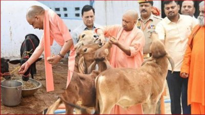 सीएम योगी की गोसंरक्षण नीति का असर : करोड़ों कमा रहे युवा, बढ़ रहा रोजगार