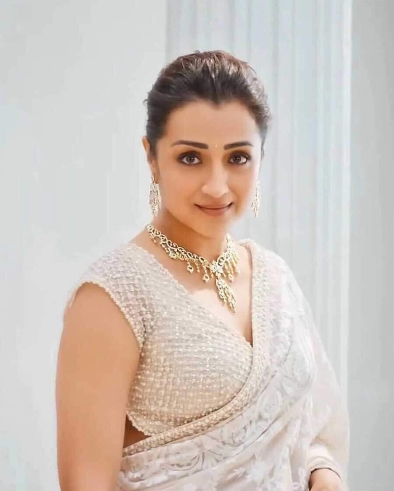 Trisha’s Cryptic Posts Stir Buzz Amid Udhayanidhi Row