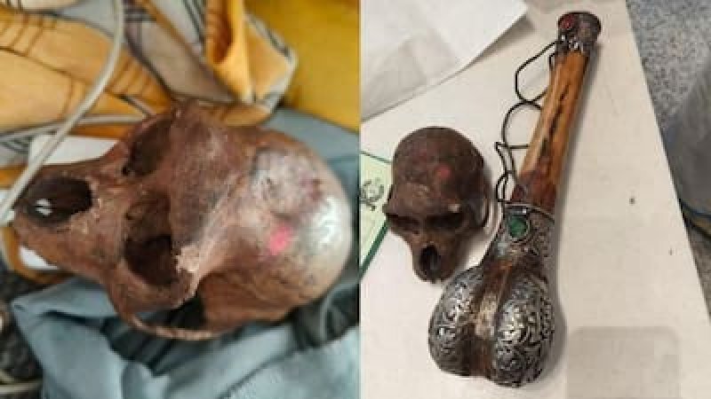 Monkey Skull Found in Passenger’s Bag at Delhi Airport