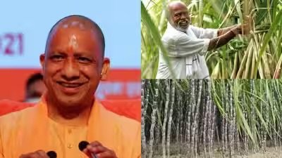 योगी सरकार ने गन्ना किसानों को किया 3.25 लाख करोड़ रुपये का भुगतान
