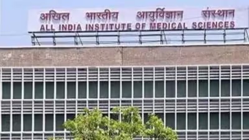 एम्स ने रचा मेडिकल इतिहास, दिल्ली से अंटार्कटिका तक हुआ मरीज का रीयल-टाइम अल्ट्रासाउंड