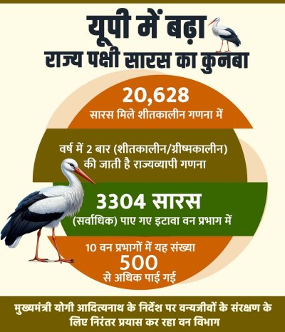 यूपी में बढ़ा राज्य पक्षी सारस का कुनबा
