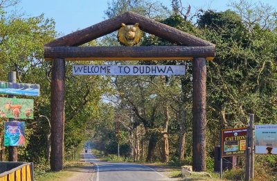 Dudhwa Safari Season 2026 Set to Unveil New Experiences for Wildlife and Nature Lovers