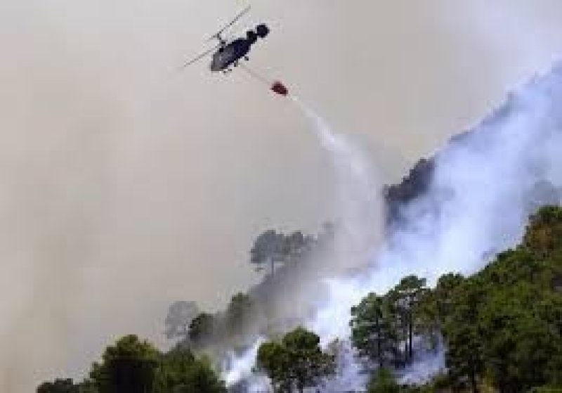IAF Helicopters Join Firefighting Efforts as Blaze Spreads in Dzükou Valley
