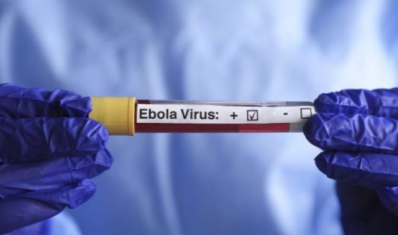 DRC Launches First Treatment Trial for Bundibugyo Ebola Amid Ongoing Challenges