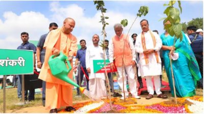 रोपने के लिए प्रदेश की 2600 से अधिक नर्सरियों में 57.62 करोड़ पौधे तैयार