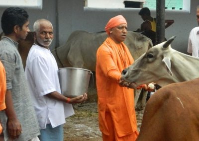 UP News : अब प्रतियोगिता से निखरेंगी गोशालाएं, उत्कृष्ट मॉडल को मिलेगा पुरस्कार