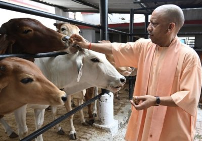 कुछ लोग गाय का दूध पिएंगे और सड़क पर छोड़ देंगे, जब वह फसल का नुकसान करेगी तो दोष मुझे देंगे: सीएम योगी