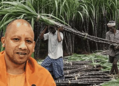 योगी सरकार ने पेराई सत्र 2025-26 में गन्ना किसानों को किया 31,682 करोड़ रुपये का भुगतान