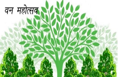 UP News : पहली जुलाई से वन महोत्सव कराएगी योगी सरकार