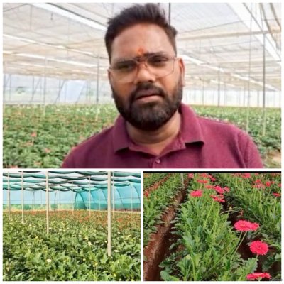 सब्सिडी से नीरज की बदली तकदीर, जरबेरा की खेती से लाखों की कमाई