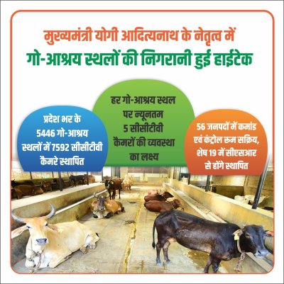 उत्तर प्रदेश : राज्य भर के 5446 गो-आश्रय स्थलों में लगाए गए 7592 सीसीटीवी कैमरे