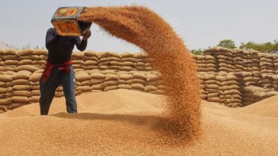 UP News : प्रदेश में गेहूं खरीद ने पकड़ी रफ्तार, 28 अप्रैल तक 6.10 लाख मीट्रिक टन गेहूं की खरीद