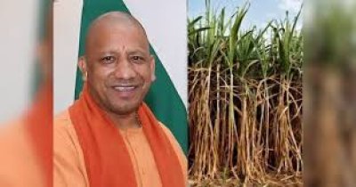 योगी सरकार ने चीनी उद्योग में किए बड़े सुधार, गन्ना किसानों को मिल रहा लाभ