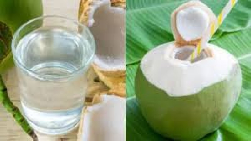 गर्मियों के लिए अमृत समान है नारियल पानी,डेली रूटीन में करे शामिल