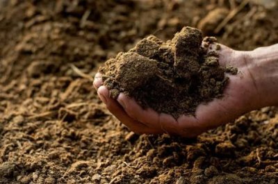यूपी न्यूज़ : किसानों को सब्सिडी पर मिलेगी गोबर की जैविक खाद