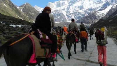 केदारनाथ में 5000 तक अश्ववंशीय पशुओं को अनुमति, बिना पंजीकरण संचालन पर रोक; पशु क्रूरता पर होगी एफआईआर