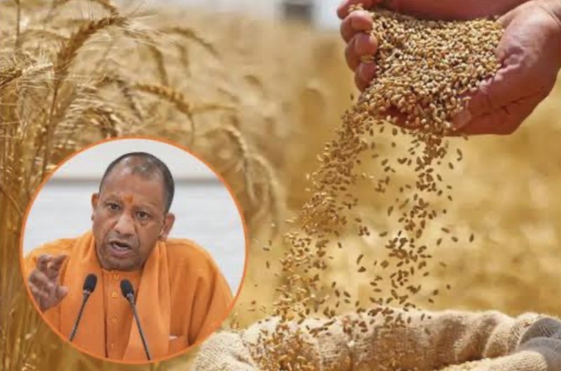 योगी सरकार की किसान हितैषी पहल, अनाज खरीद में रिकॉर्ड भुगतान से जीता भरोसा