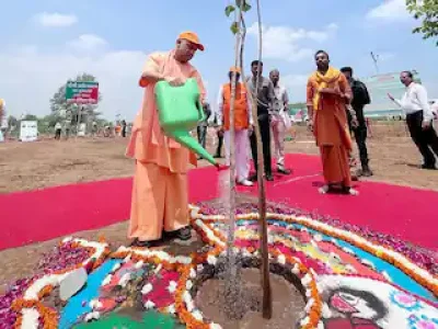 1900 से अधिक नर्सरियों में तैयार किए जा रहे 52.44 करोड़ पौधे