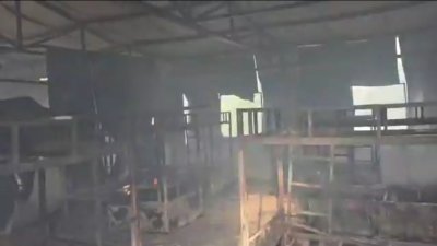 लखनऊ एयरपोर्ट के लेबर कैंप में लगी आग, 300 मजदूरों में मची अफरा-तफरी