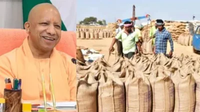 धान खरीद में योगी सरकार का बड़ा रिकॉर्ड, पूर्ववर्ती सरकार की तुलना में 152% अधिक किसानों को मिला लाभ