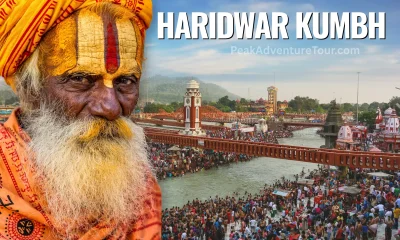 उत्तराखंड न्यूज़ : दिव्य कुंभ की तैयारियों के लिए लगभग 290 करोड़, नंदा राजजात यात्रा के लिए भी बजट में प्रावधान