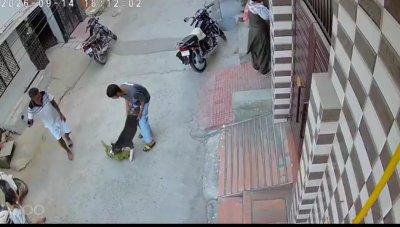 Sonipat Baby Battles Severe Injuries After Pit Bull Attack